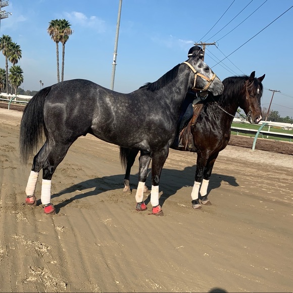 Meet your Posher, Valentin a - Picture 1 of 1